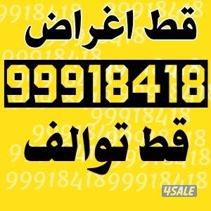 قط@اغراض@قط@اغراض@قط@اغراض@قط@اغراض1