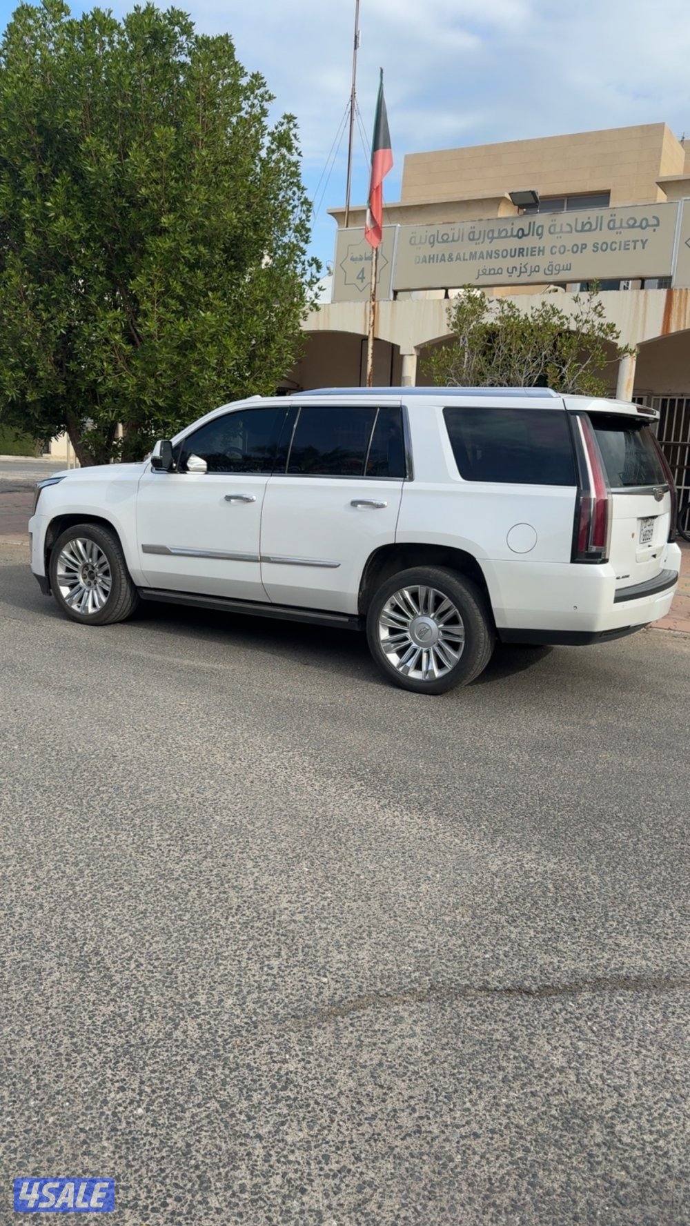 للبيع كادلك سكاليد0