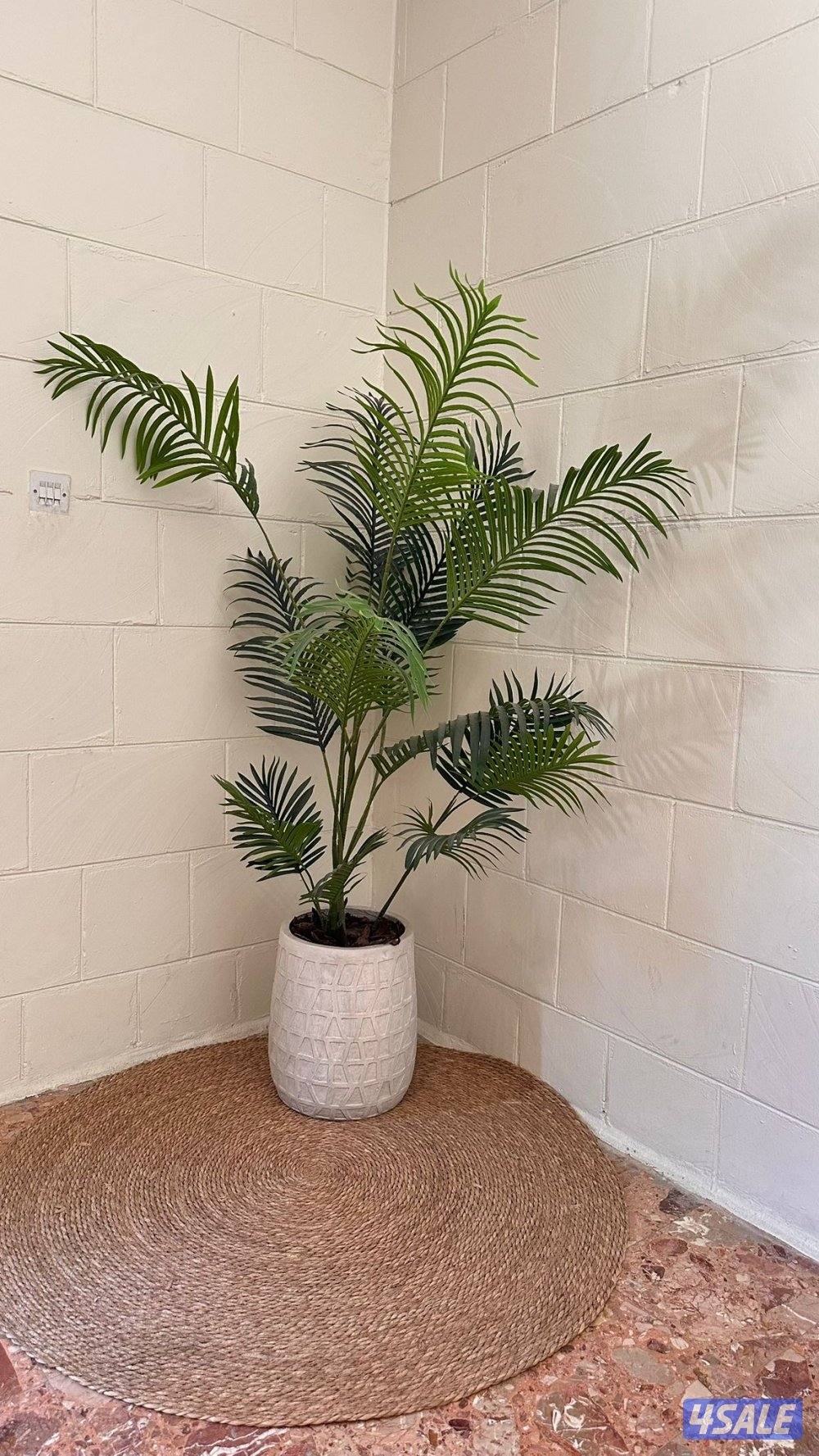 كنب راقي للبيع – نظيف جداً بحالة ممتازة1