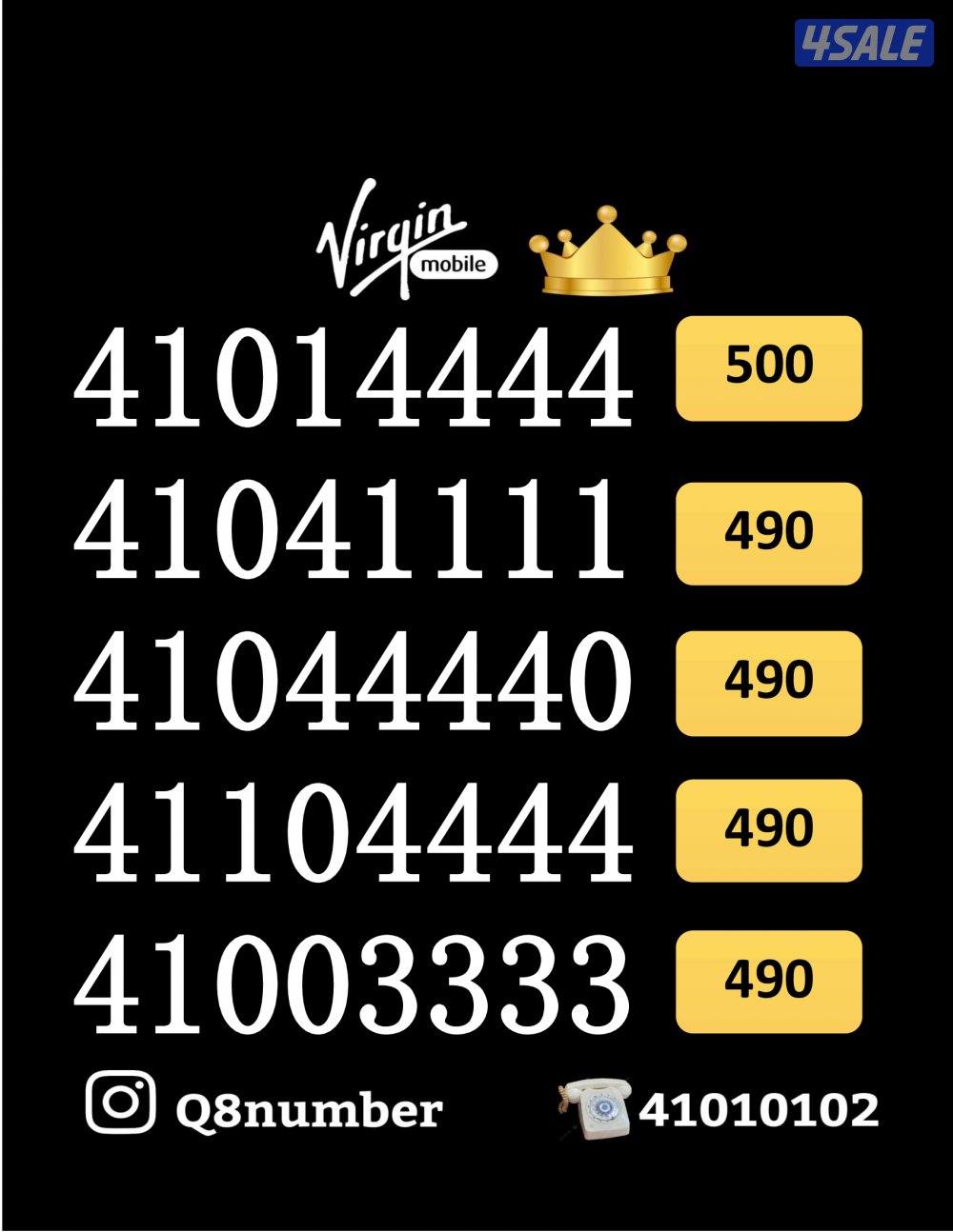 شاهد الصور12