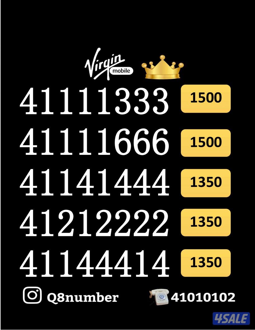 شاهد الصور13