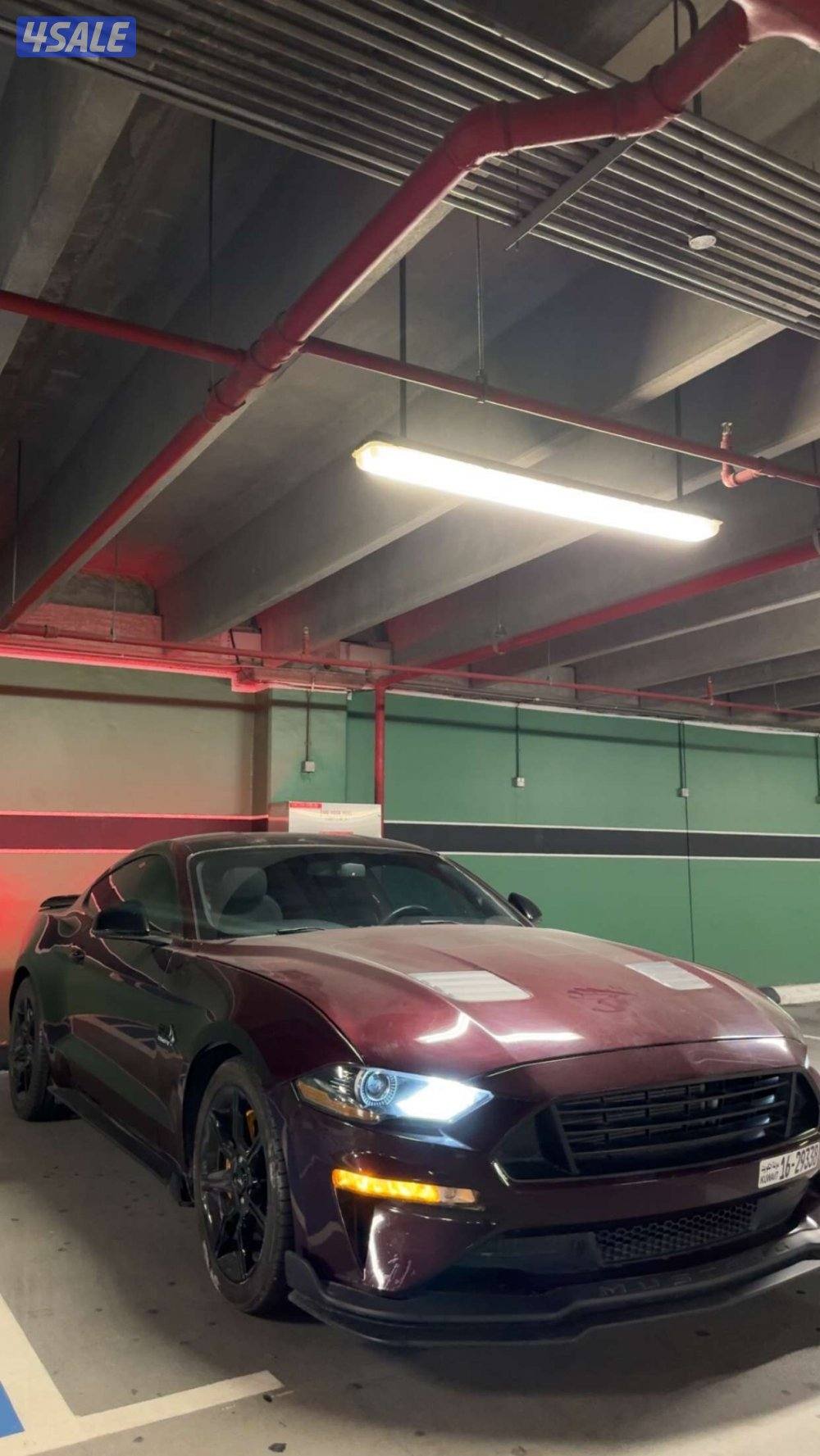 موستنق موديل 20184