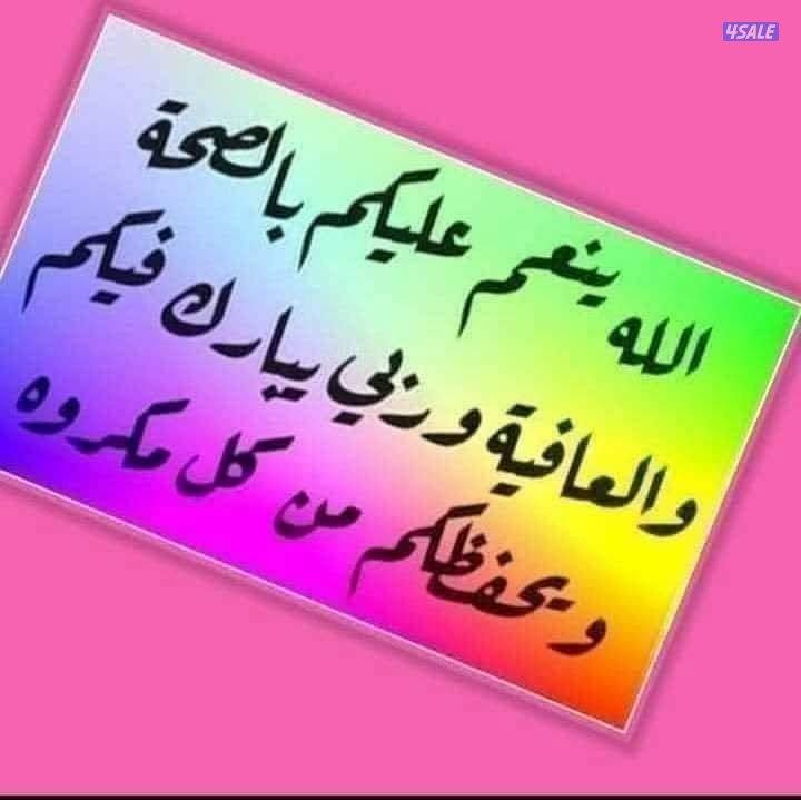 مدرسة رياضيات واحصاء0