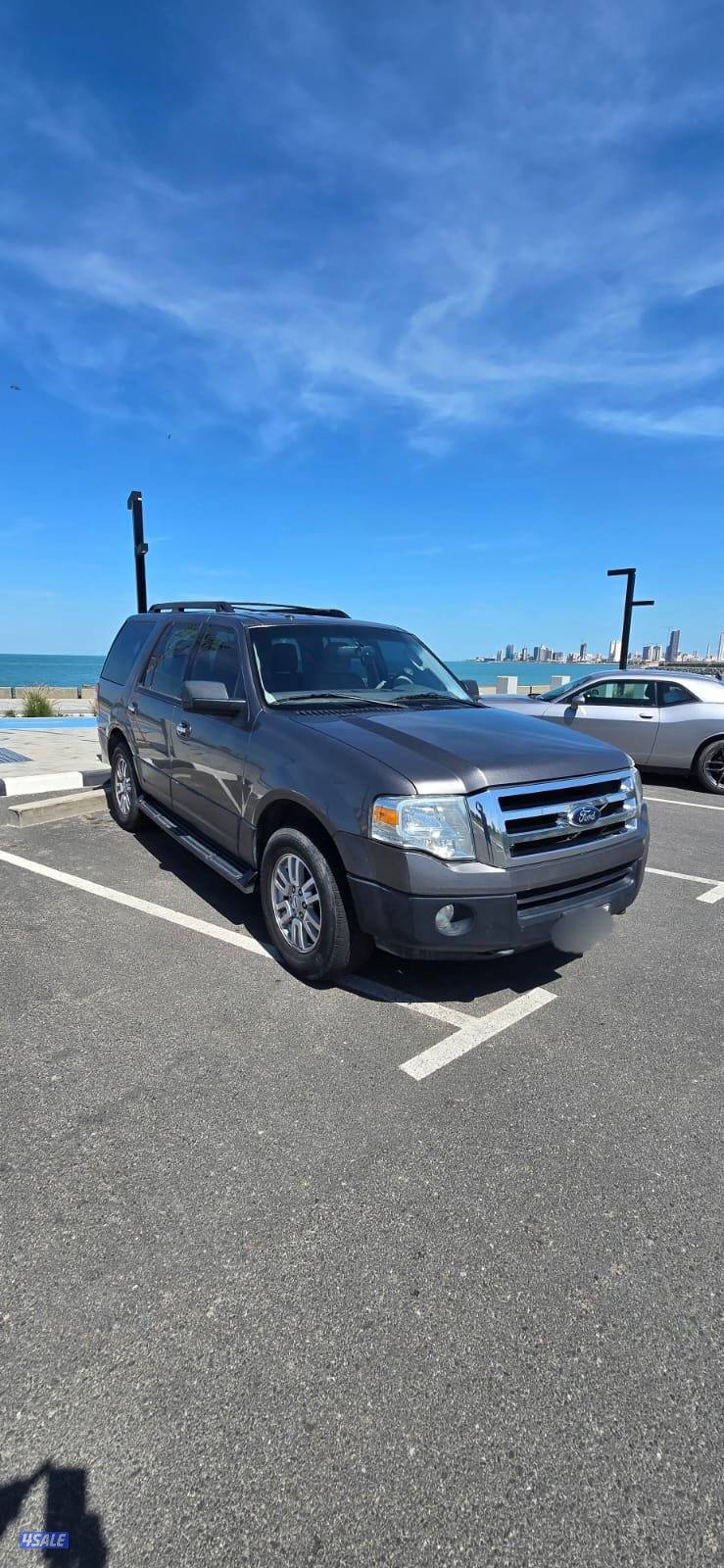 صبغ المصنع بحالة نادرة وقمة في النظافة0