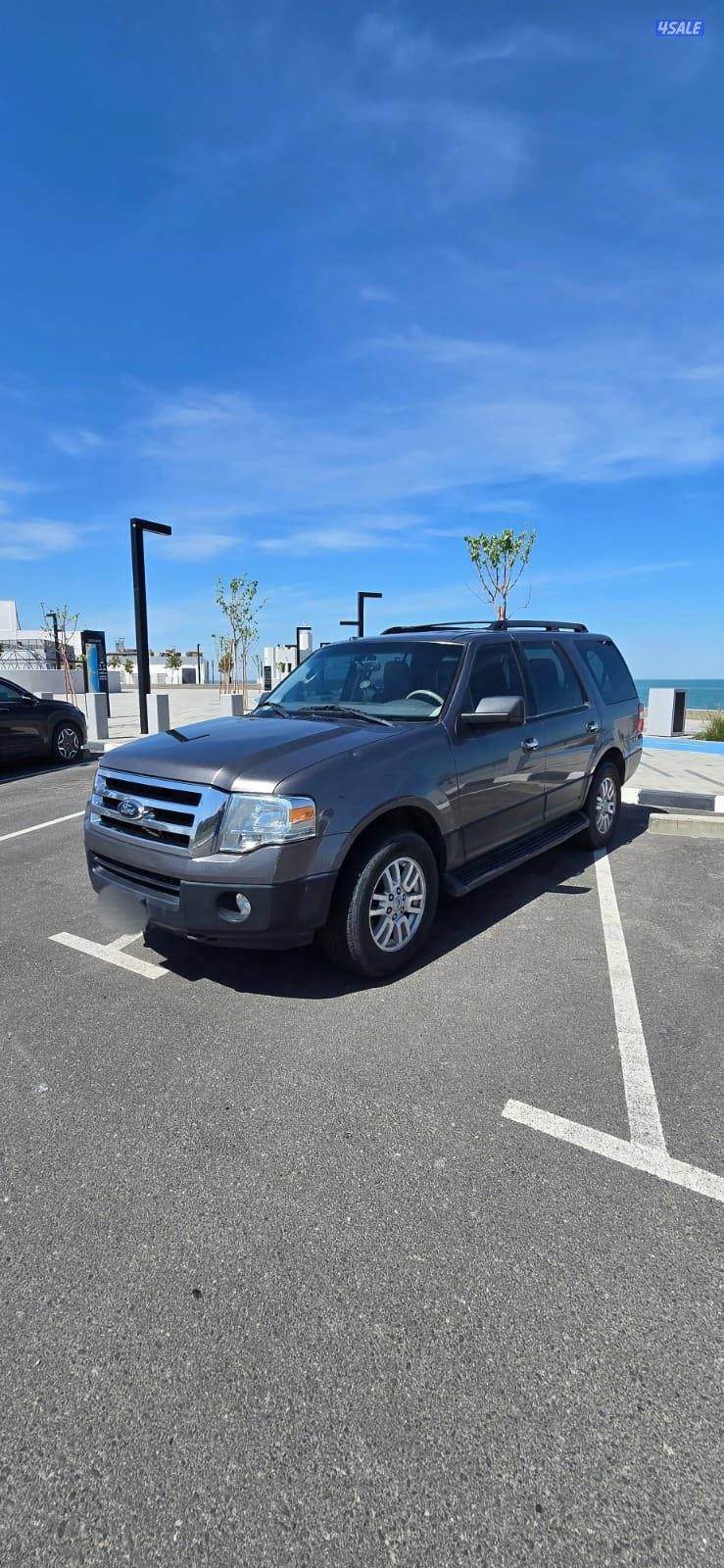 صبغ المصنع بحالة نادرة وقمة في النظافة3