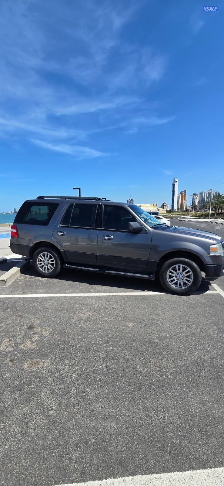 صبغ المصنع بحالة نادرة وقمة في النظافة5