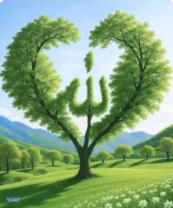 فني  كاميرات مراقبة ابحث عن عمل في شركات انظمة خدمات كاميرات مراقبة0