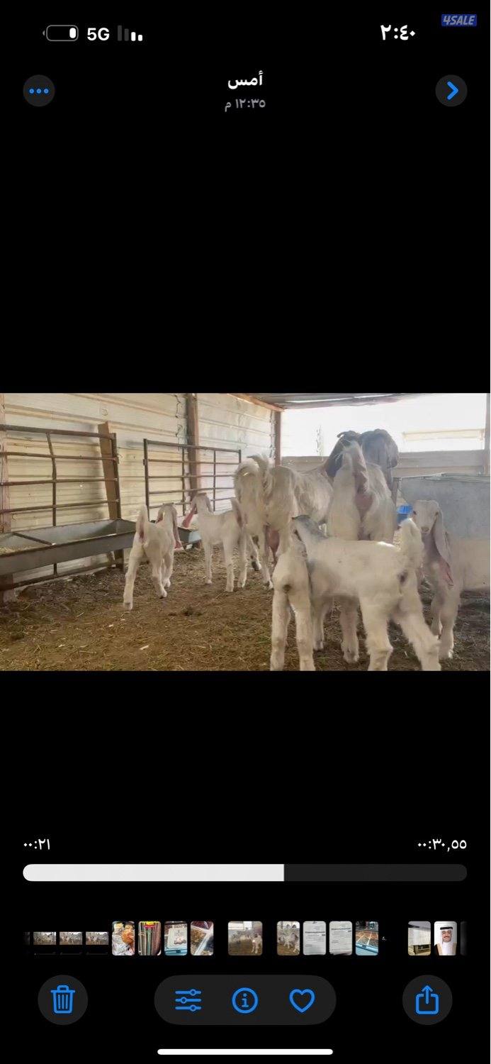 مطافيل ضرايب خصم الخصم اتوام شرط روح1