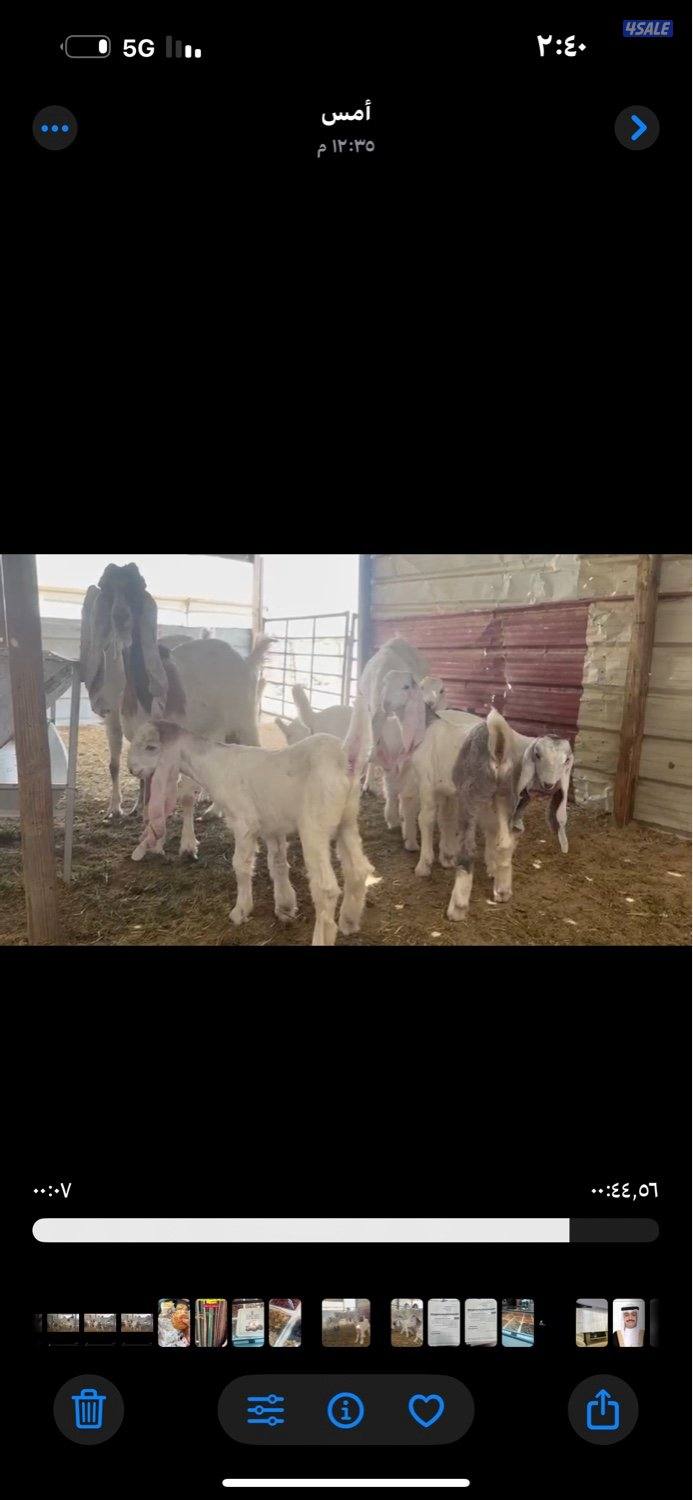 مطافيل ضرايب خصم الخصم اتوام شرط روح3