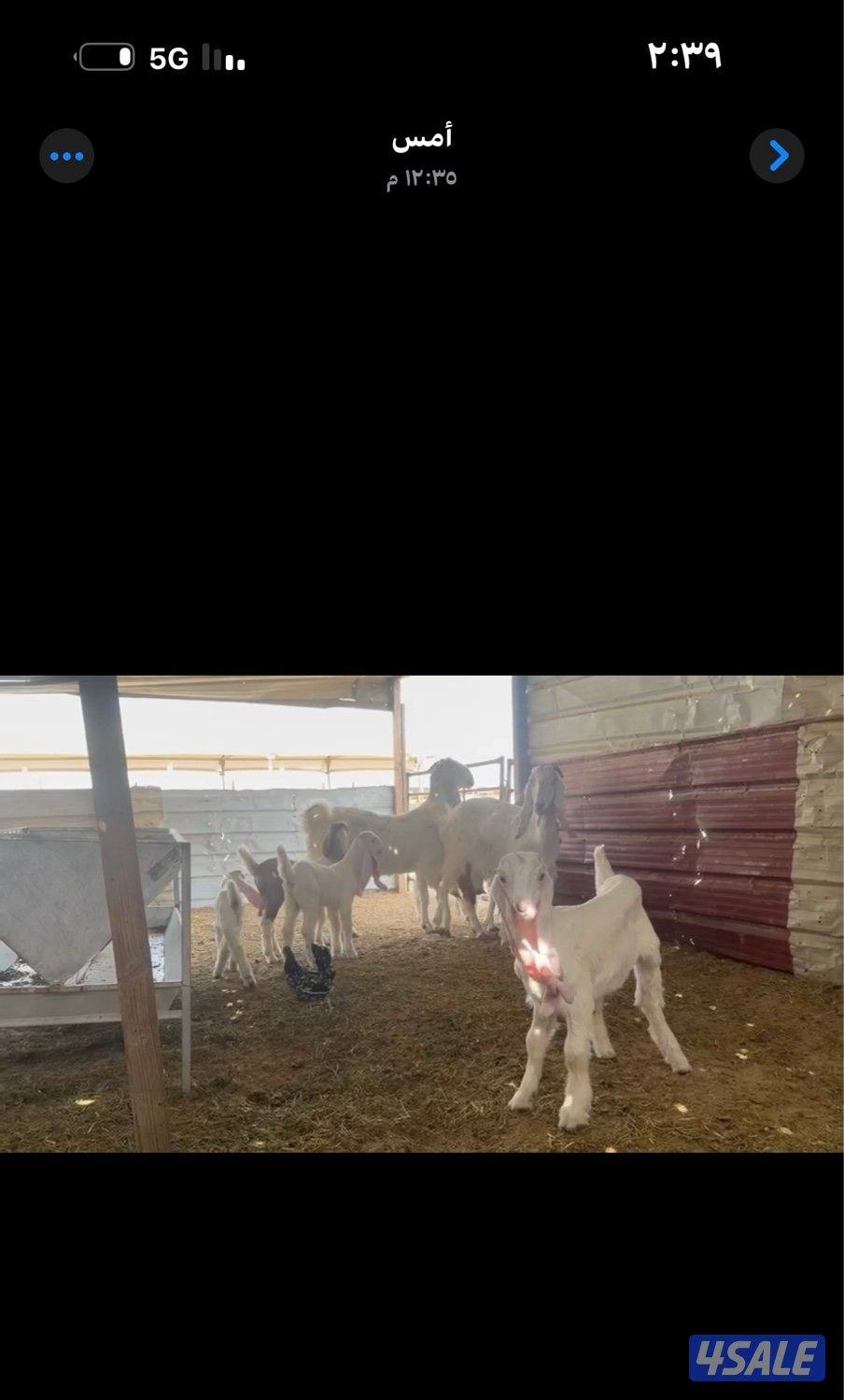 مطافيل ضرايب خصم الخصم اتوام شرط روح5