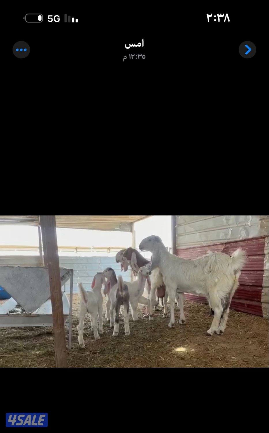 مطافيل ضرايب خصم الخصم اتوام شرط روح9