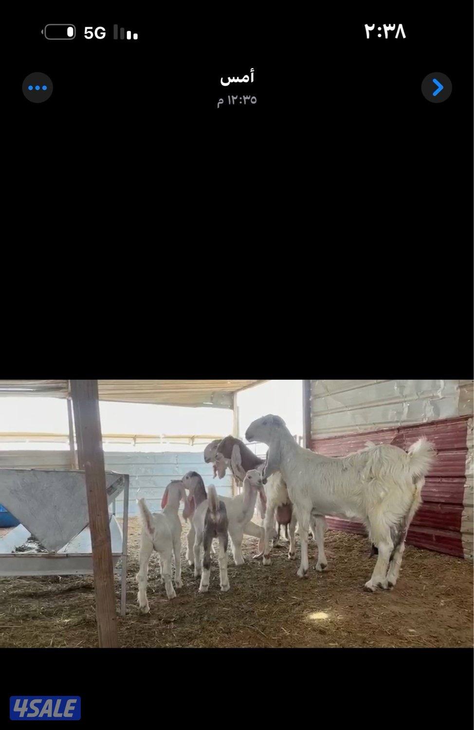 مطافيل ضرايب خصم الخصم اتوام شرط روح10