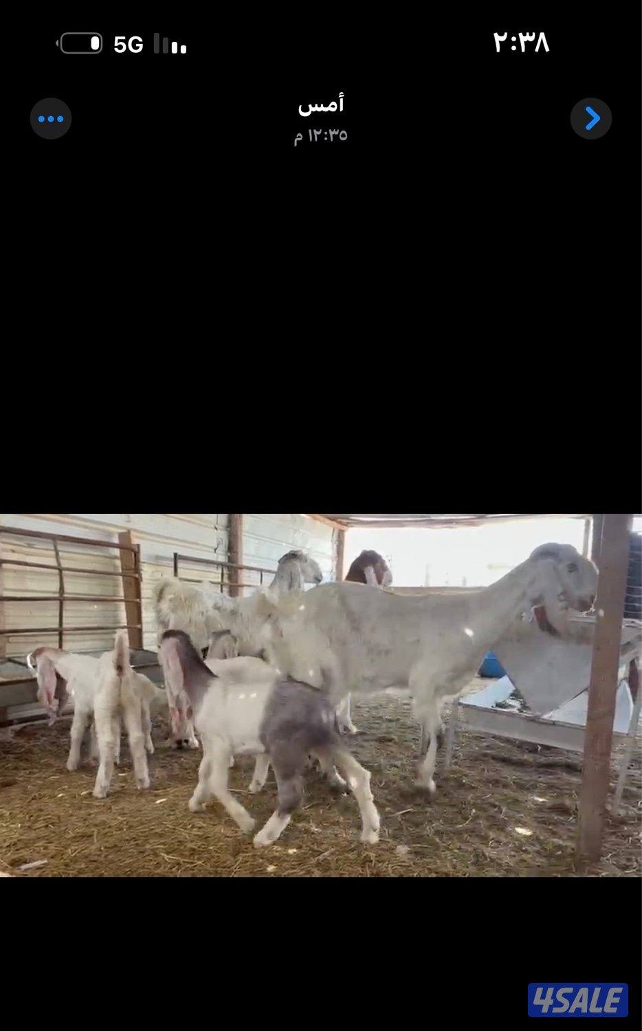 مطافيل ضرايب خصم الخصم اتوام شرط روح12