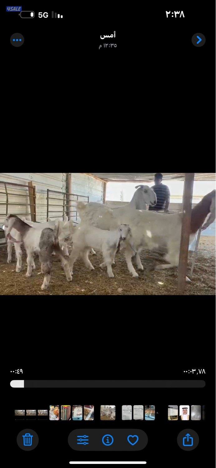 مطافيل ضرايب خصم الخصم اتوام شرط روح13