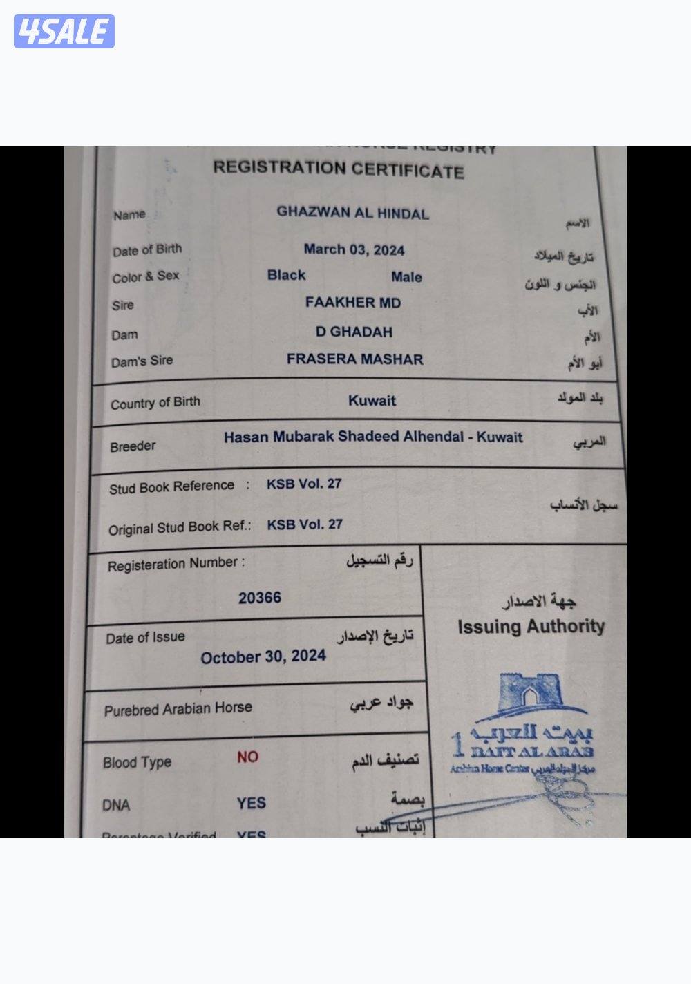 ♠️ مهر ادهم مصري عمره سنتين ♠️4