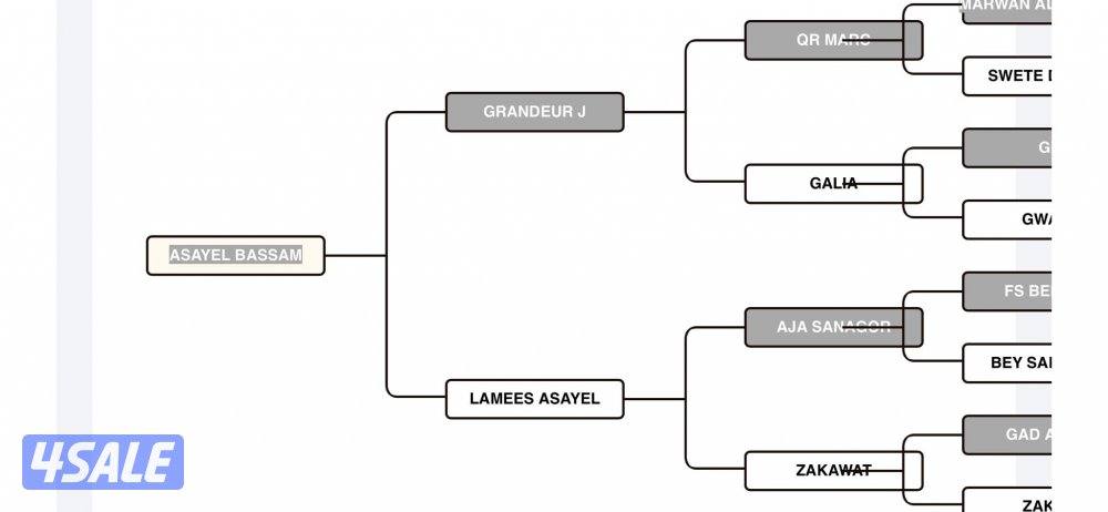 ‏للبيع حصان بولش أدهم3