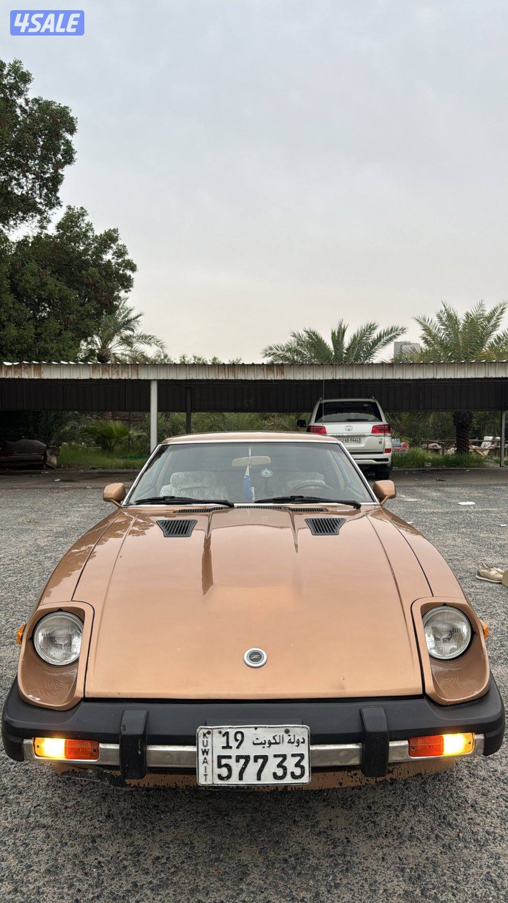 للبيع زد فورسيت امريكي 19793