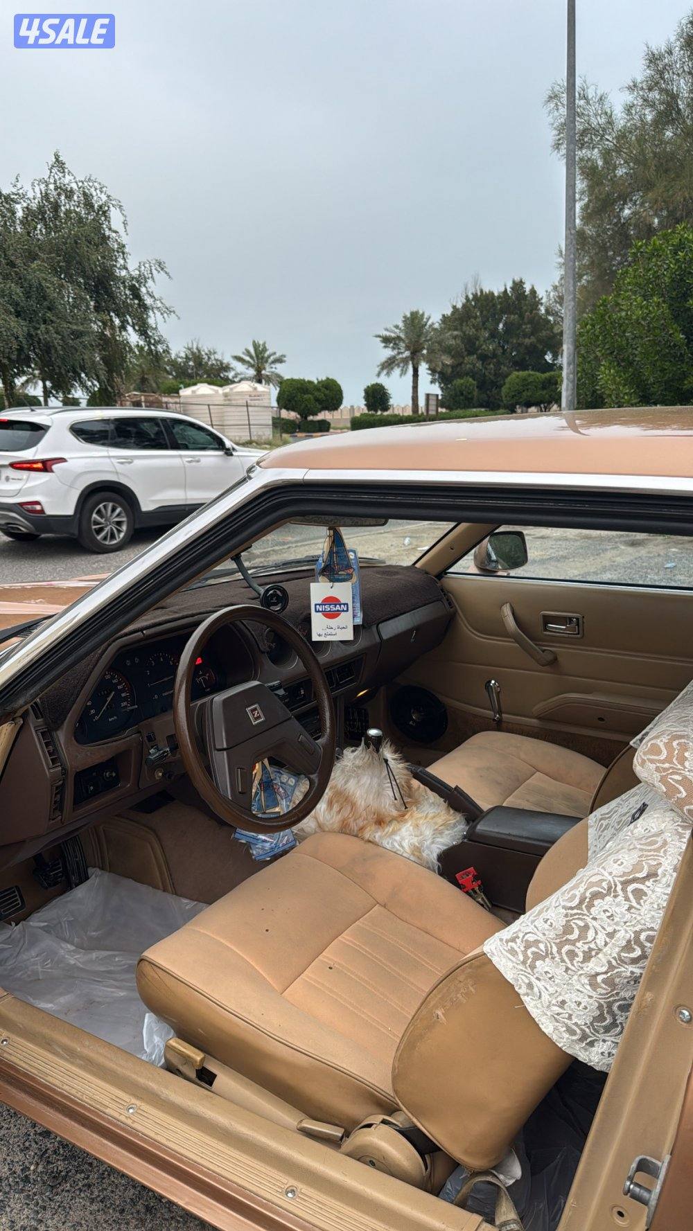 للبيع زد فورسيت امريكي 19794