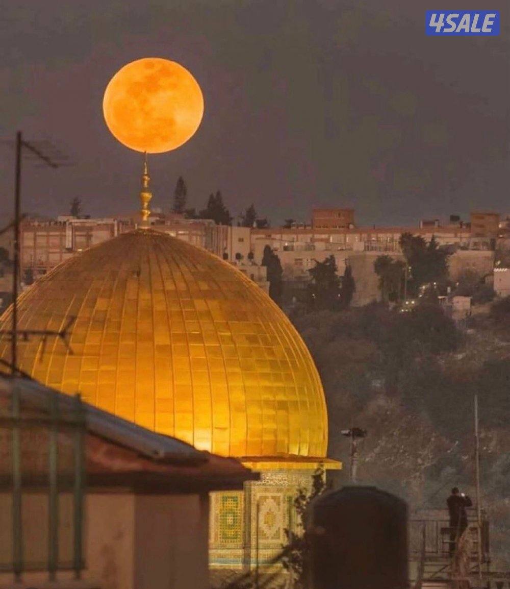 تاسيس لغة عربية0