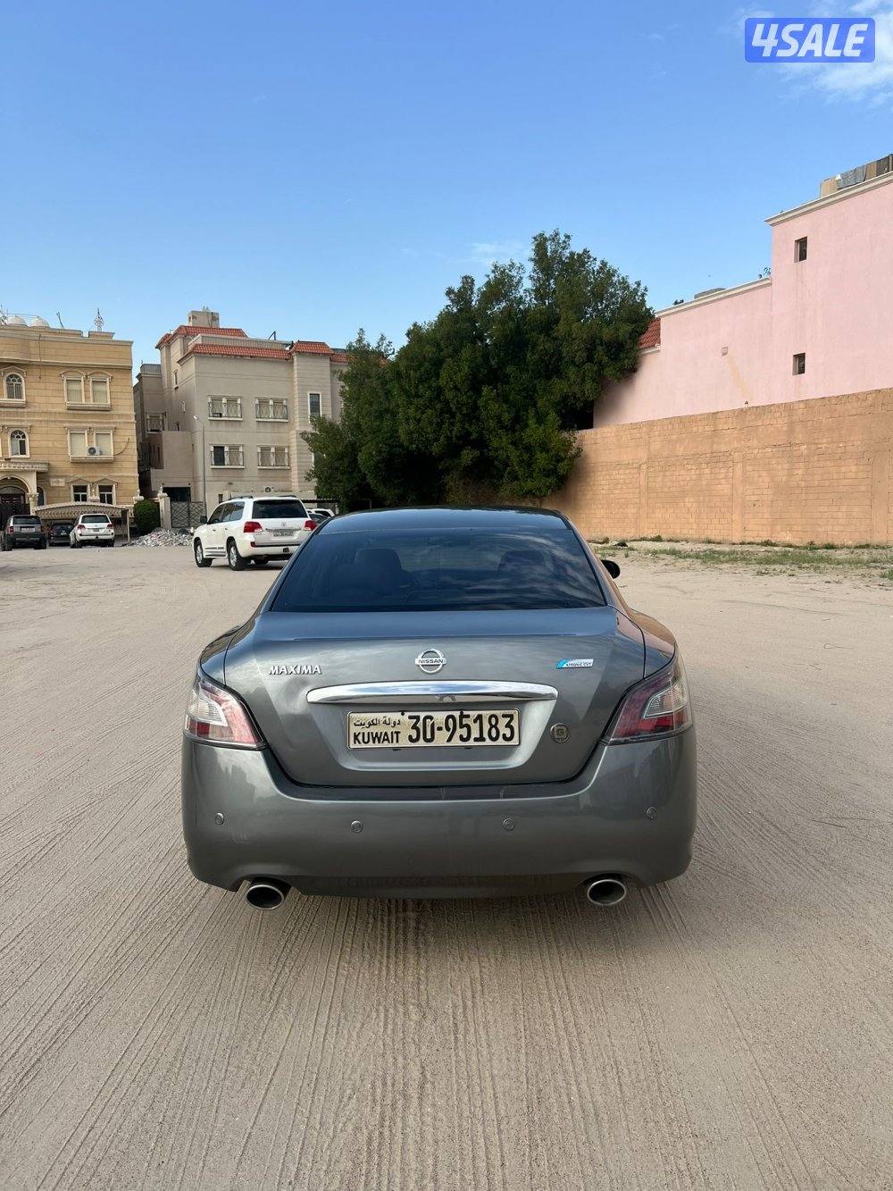 مكسيما للبيع1