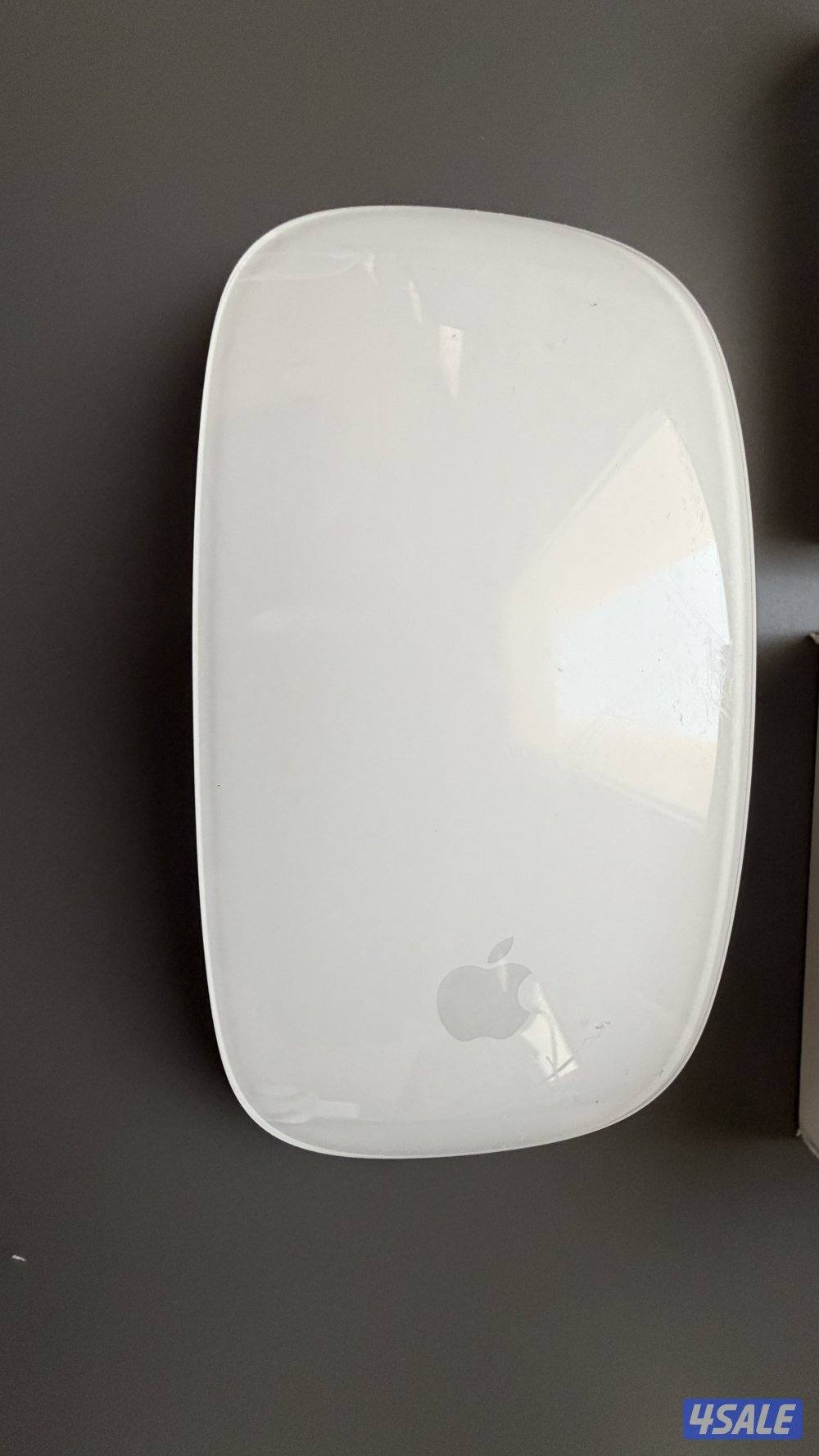 Magic mouse Apple1