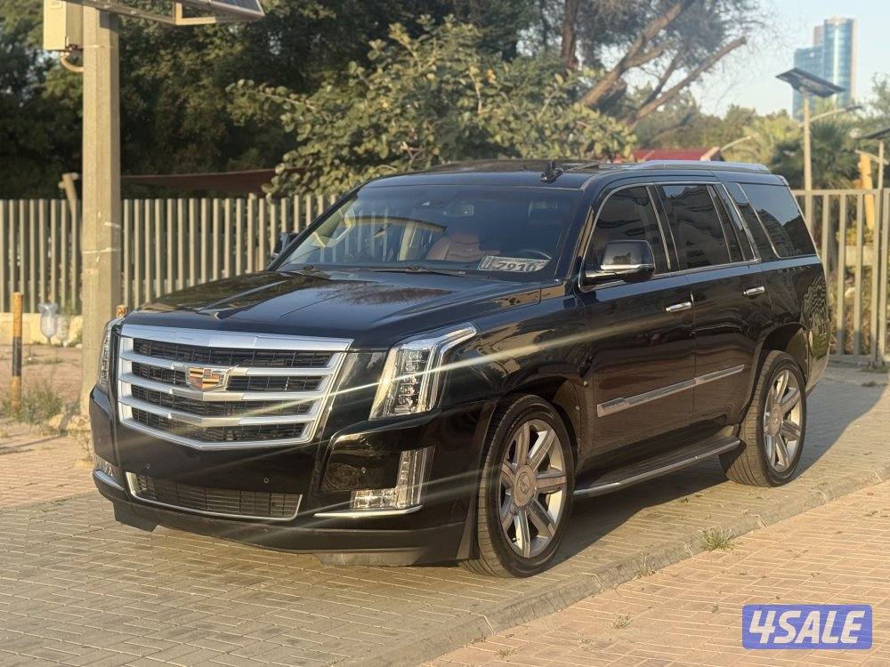 🔺كاديلاك اسكاليد بريموم 2016 الدرجه الاولي 🔺2