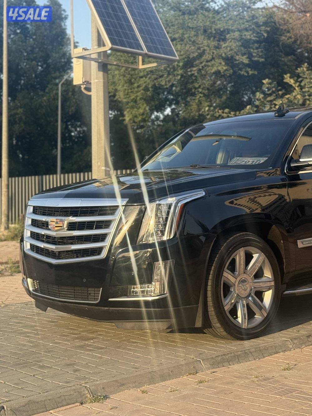 🔺كاديلاك اسكاليد بريموم 2016 الدرجه الاولي 🔺3