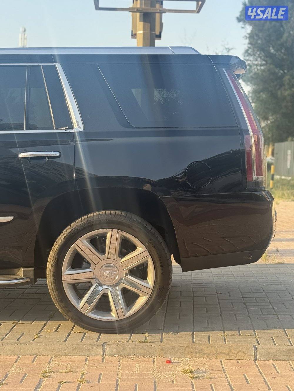 🔺كاديلاك اسكاليد بريموم 2016 الدرجه الاولي 🔺8