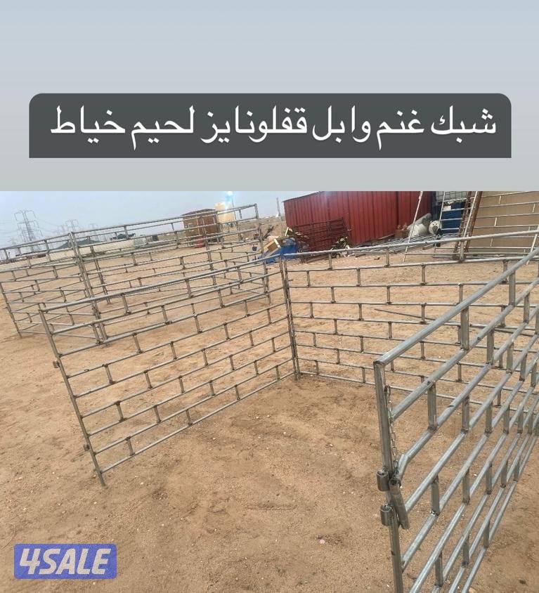 تفصال شبك غنم وابل وخيل جلفنايز ملي ونص0