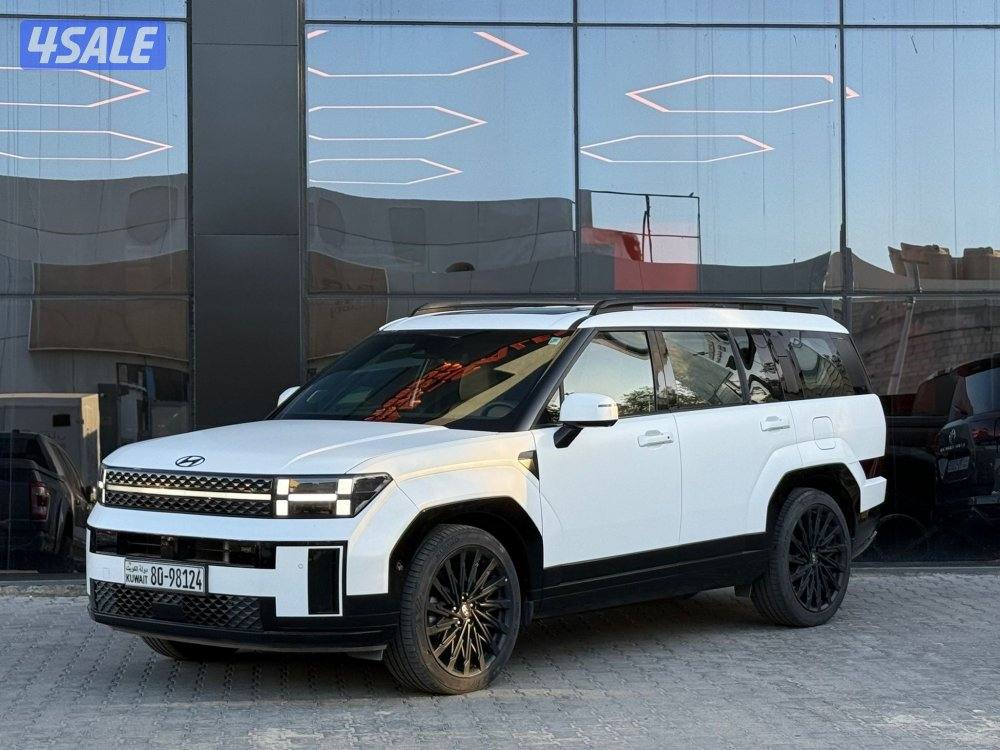 HYUNDAI SANTAFE _2024 صبغ الوكالة1