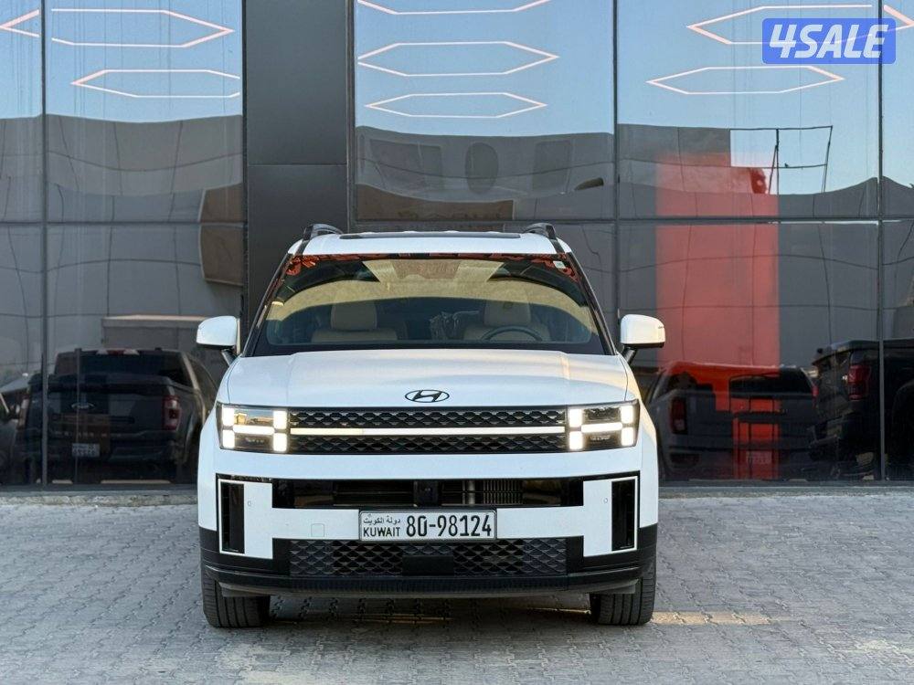 HYUNDAI SANTAFE _2024 صبغ الوكالة2