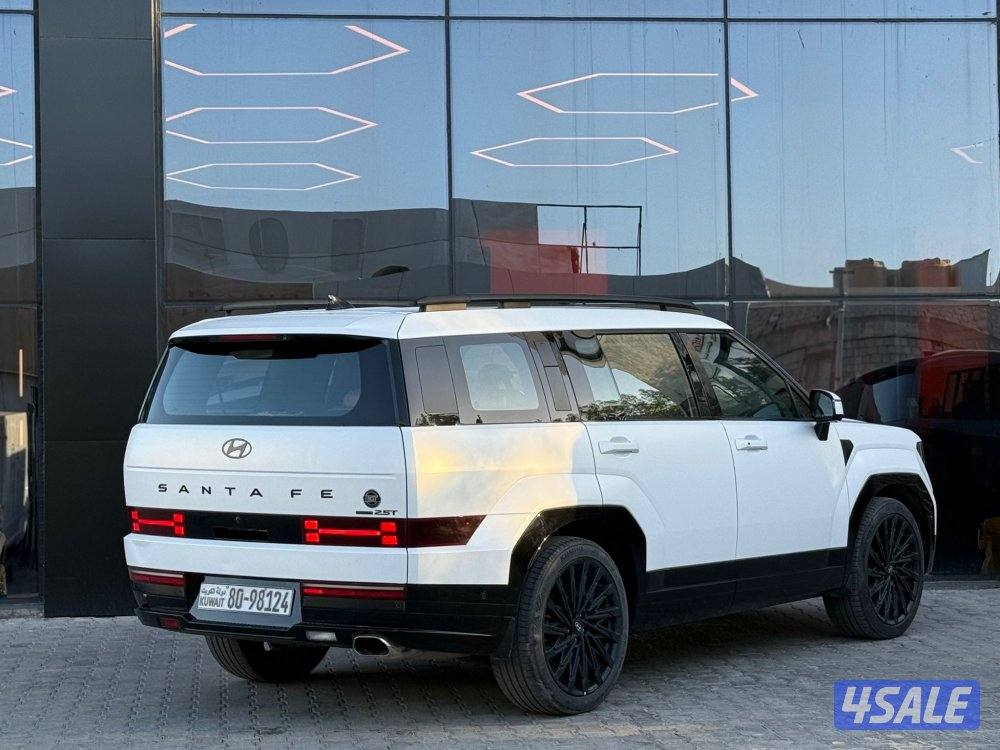 HYUNDAI SANTAFE _2024 صبغ الوكالة3