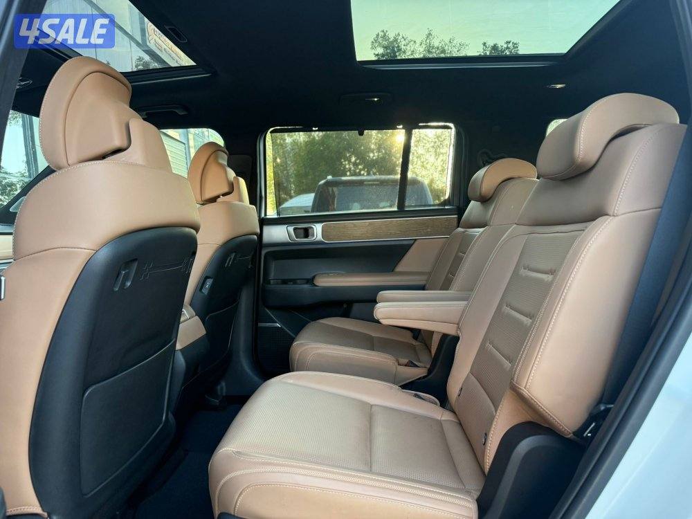 HYUNDAI SANTAFE _2024 صبغ الوكالة9