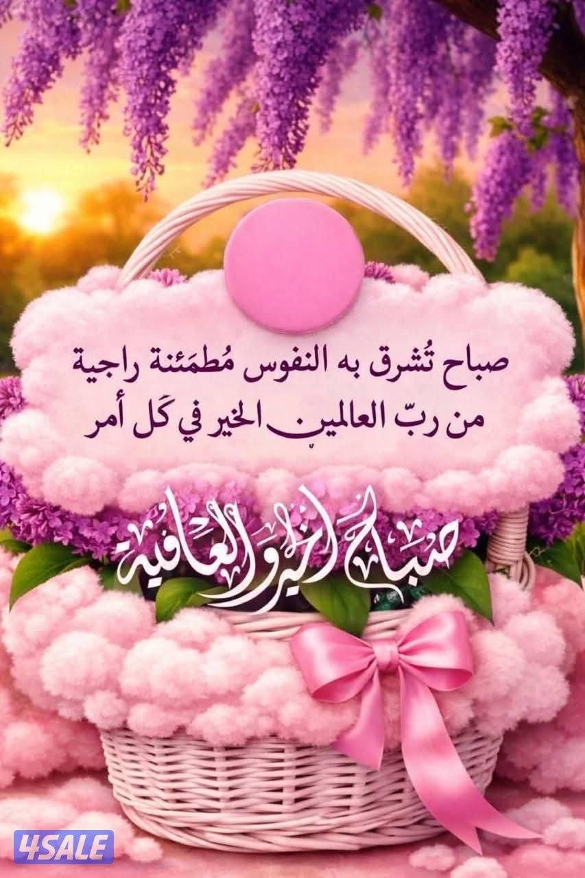 للاجار بيت حكومي بطن وضهر مكيف مركزي ام الهيمان ق٢0