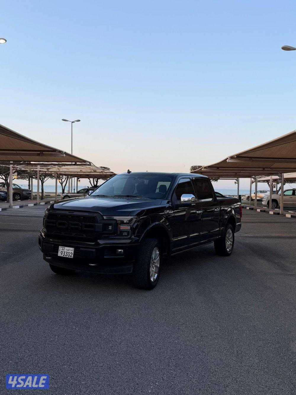 Ford F150 platinum1