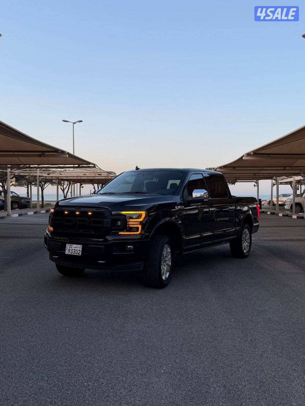 Ford F150 platinum2