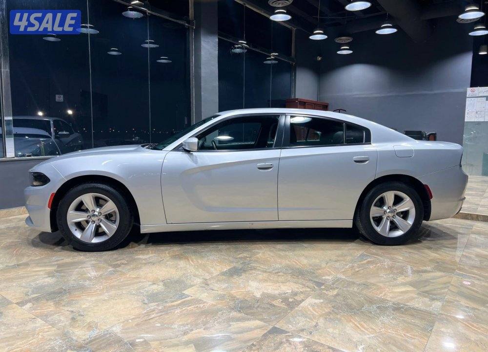 🚩 مـــعــــرض الــــــلـــــــورد 🚩1