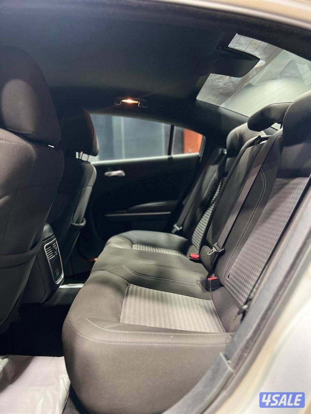 🚩 مـــعــــرض الــــــلـــــــورد 🚩8