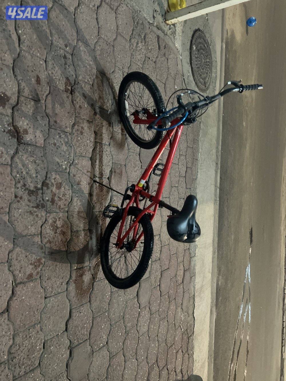 قاري BMX1