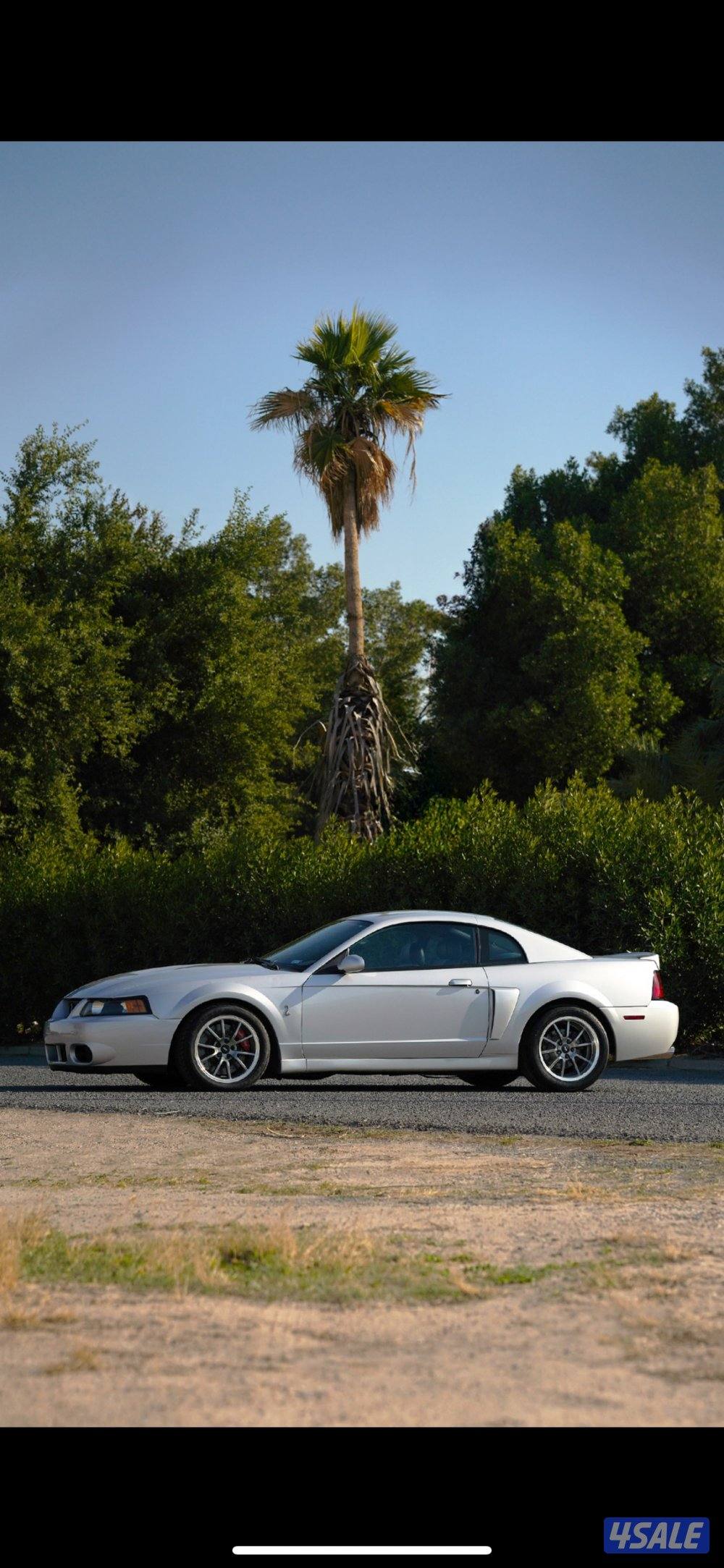 كوبرا svt 20033