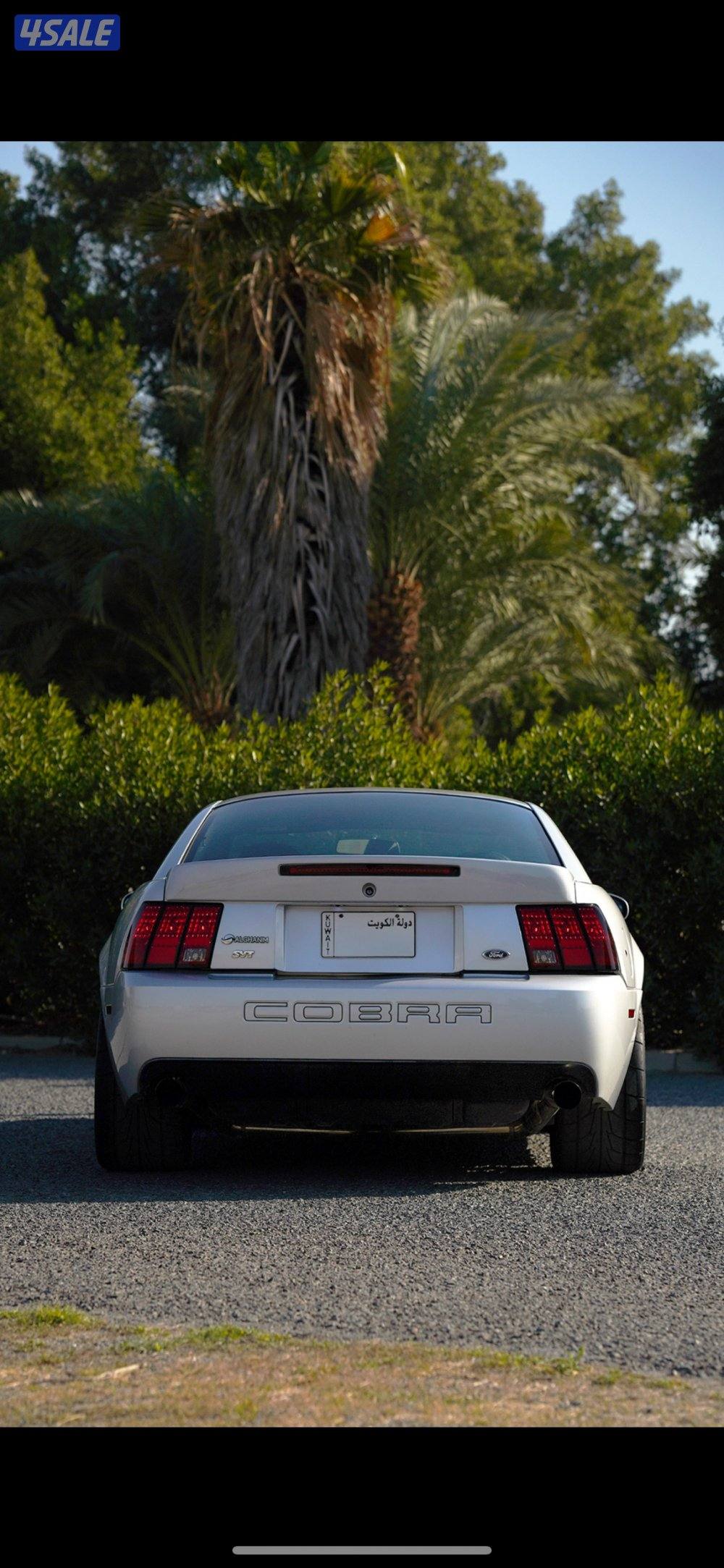 كوبرا svt 20031