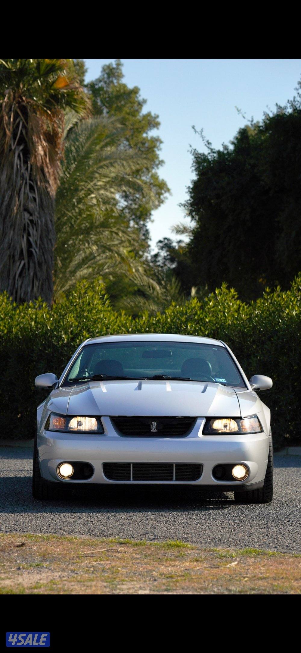 كوبرا svt 20030