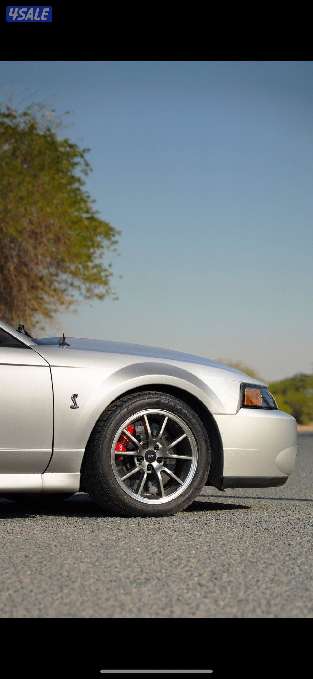 كوبرا svt 20034