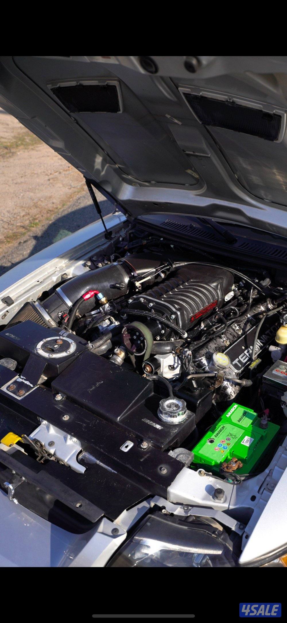 كوبرا svt 200312