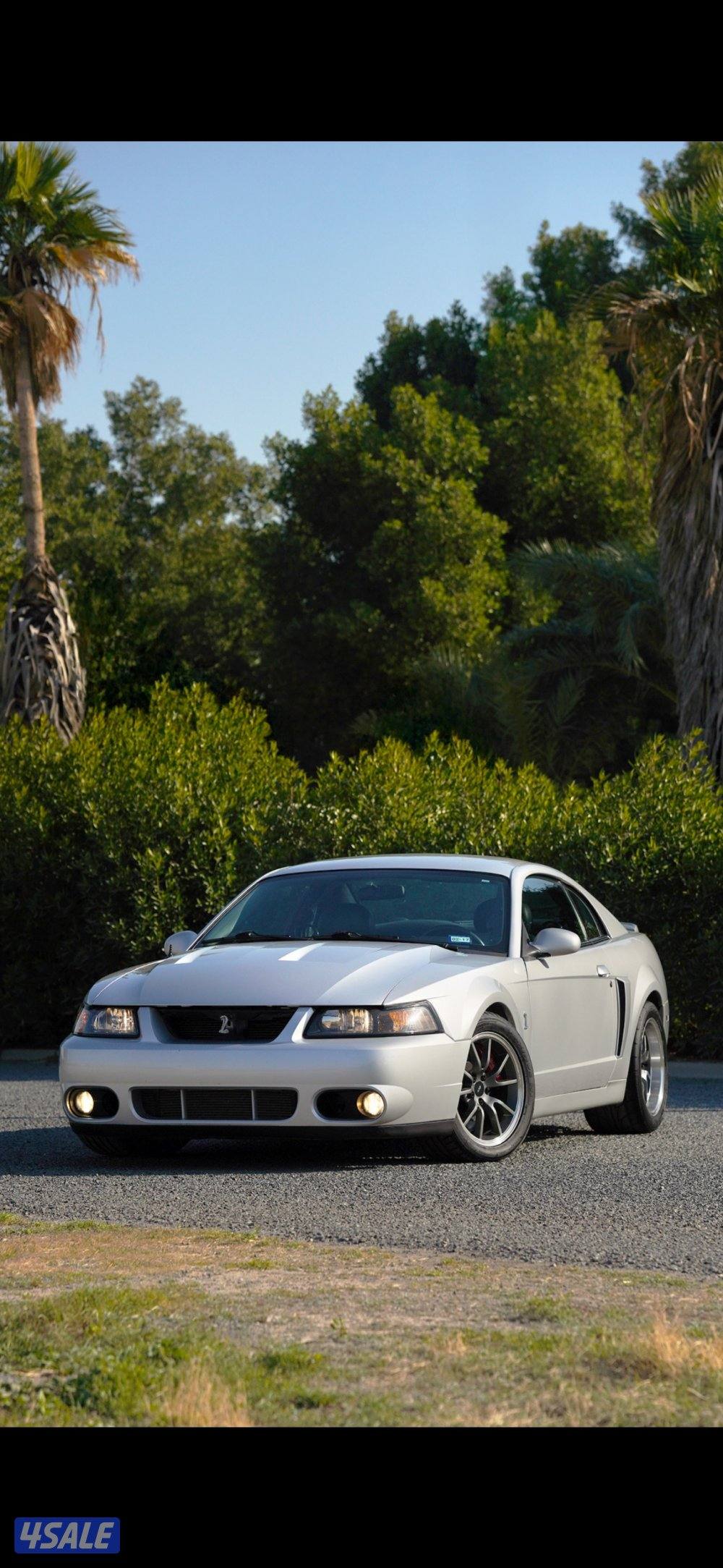 كوبرا svt 20032