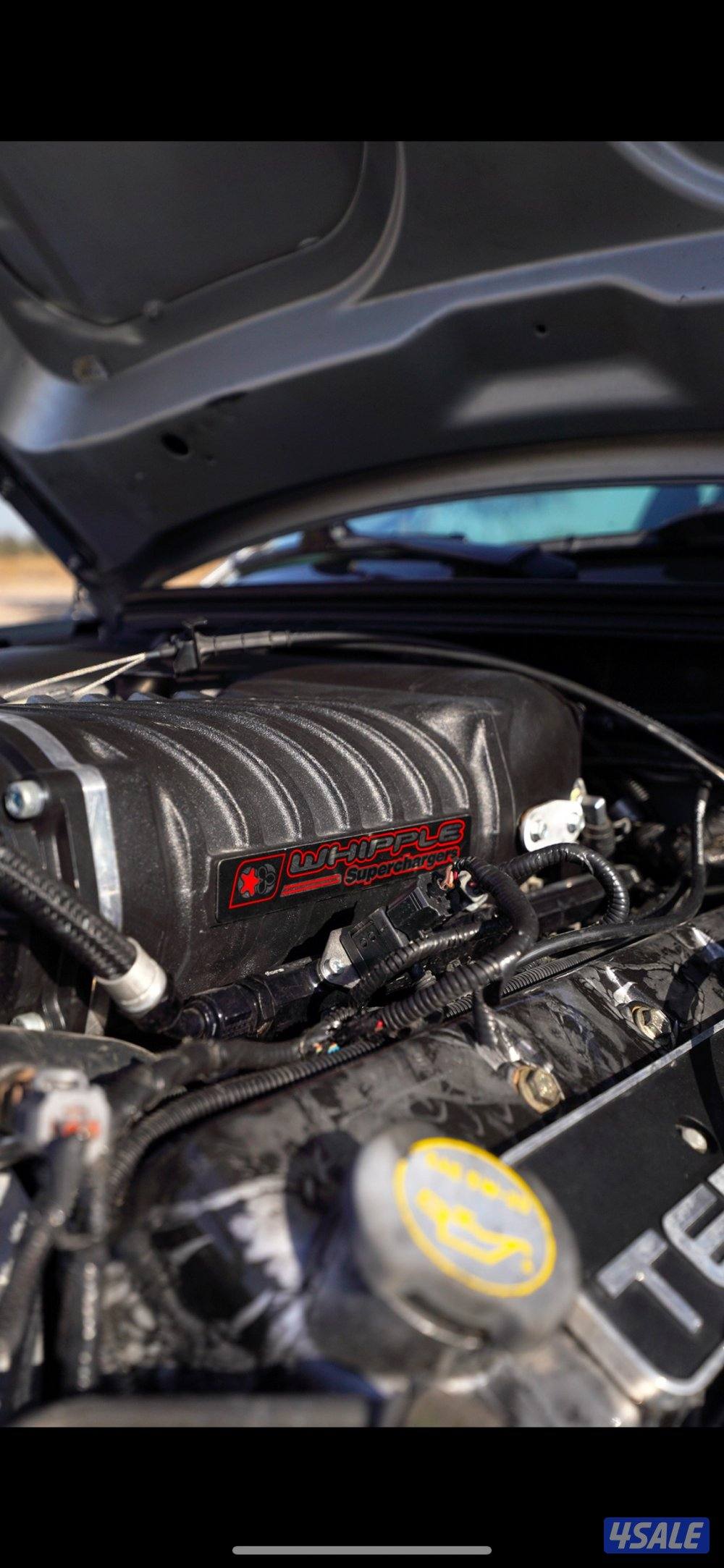 كوبرا svt 200313