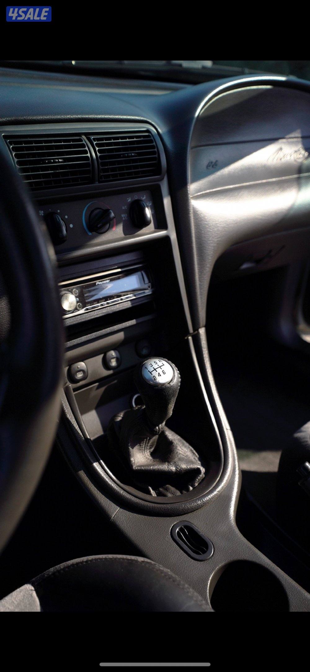 كوبرا svt 200314