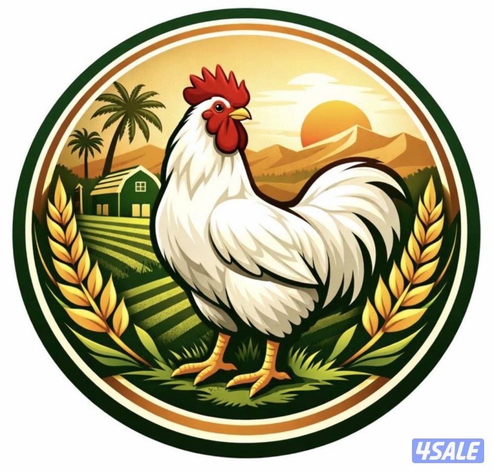 مطلوب شريك او مستثمر0