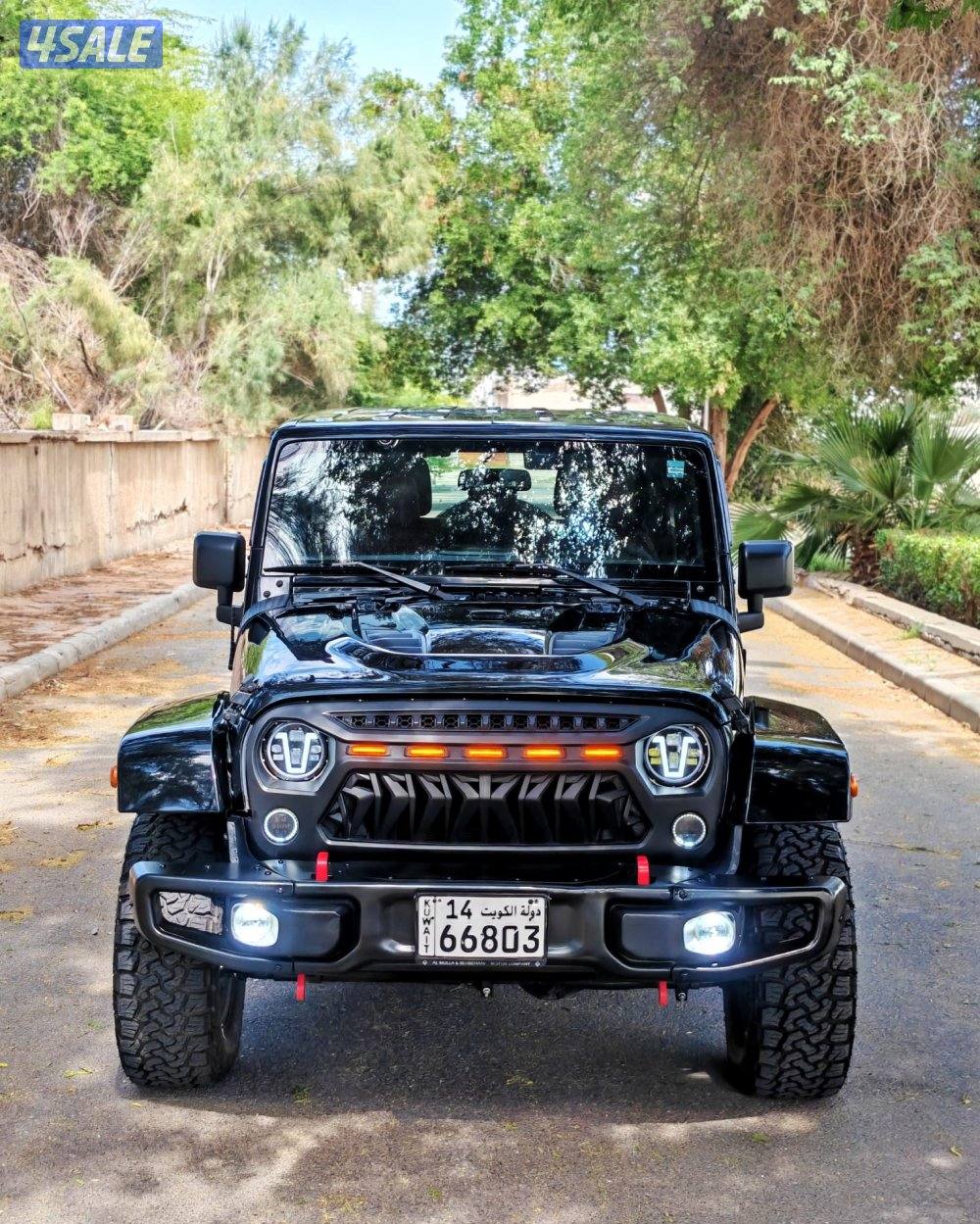 رانجلر روبيكون - 20169