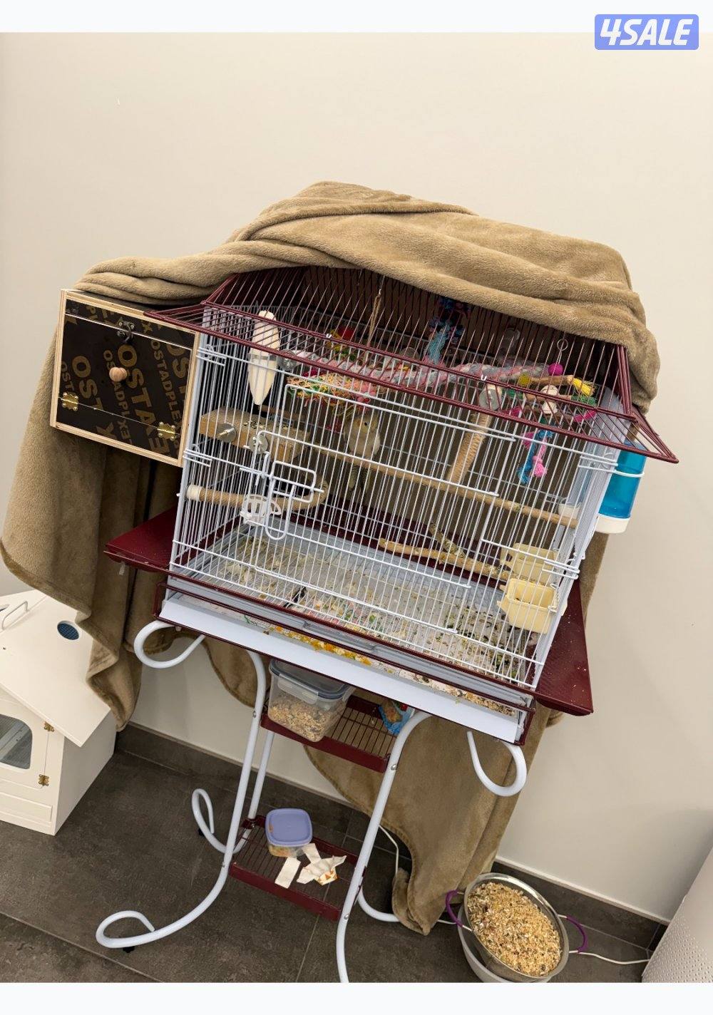 3 فروخ كروان مع الام والقفص والحضانه1